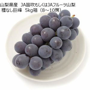 山梨県産 JA笛吹もしくはJAフルーツ山梨 種なし巨峰 5kg箱(8〜10房)【CB】