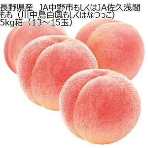 長野県産 JA中野市もしくはJA佐久浅間 もも(川中島白鳳もしくはなつっこ)5kg箱(13〜15玉)【CB】