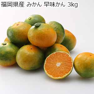 熊本県産 極早生みかん 肥のあかり 5kg【お届け期間：9月10日〜9