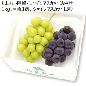 山梨県産 たねなし巨峰・シャインマスカット詰合せ 1kg(巨峰1房450g・シャインマスカット1房550g)【限定200点】【お届け期間:8/25(月)〜9/20(土)】【MK】
