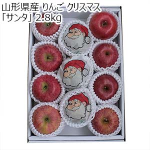 山形県産 りんご クリスマス「サンタ」 2.8kg【イオンのクリスマス】