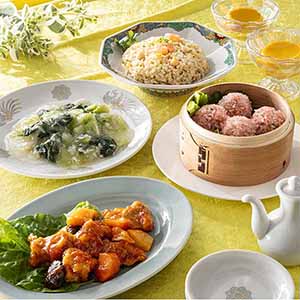 赤坂四川飯店監修 本格中華コース 赤坂四川飯店監修 本格中華コースD