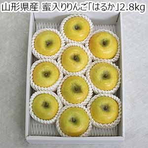 山形県産 蜜入りりんご「はるか」 2.8kg【お届け期間：12月10日〜12月31日】【おいしいお取り寄せ】