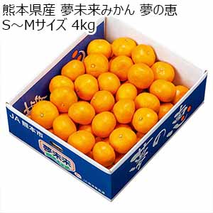 熊本県産 夢未来みかん 夢の恵 S〜Mサイズ 4kg【お届け期間：12月25日〜12月29日】【年末年始ごちそう特集】