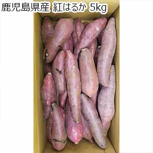 鹿児島県産 紅はるか 5kg【お届け期間：10月14日〜12月20日】【おいしいお取り寄せ】