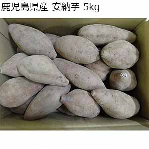 鹿児島県産 安納芋 5kg【お届け期間：10月14日〜12月20日】【おいしいお取り寄せ】