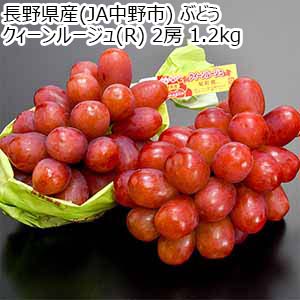 長野県産(JA中野市) ぶどう クイーンルージュ(R) 2房 1.2kg【お届け期間：10月2日〜10月31日】【秋のうまいもの市】