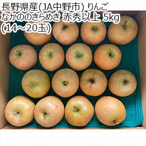 長野県産(JA中野市) りんご なかののきらめき 赤秀以上 5kg(14〜20玉)【限定100点】【お届け期間：11月1日〜11月20日】【秋のうまいもの市】