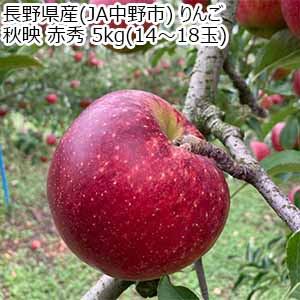 長野県産(JA中野市) りんご 秋映 赤秀 5kg(14〜18玉)【お届け期間：10月5日〜10月25日】【秋の大収穫祭】