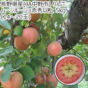 長野県産(JA中野市) りんご ムーンルージュ ご家庭用 赤秀以上 5kg(14〜20玉)【限定100点】【お届け期間：11月1日〜11月25日】【秋のうまいもの市】