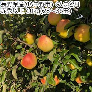 長野県産(JA中野市) ぐんま名月 赤秀以上 10kg(28〜36玉)【お届け期間：10月20日〜11月15日】【秋のうまいもの市】