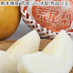 熊本県産 荒尾ジャンボ梨 秀品 2玉 【お届け期間：10月1日〜10月20日】【秋のうまいもの市】