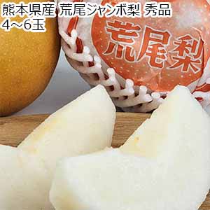熊本県産 荒尾ジャンボ梨 秀品 4〜6玉【お届け期間：10月1日〜10月20日】【秋のうまいもの市】