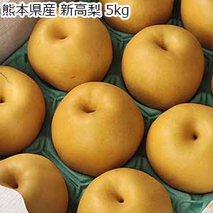 熊本県産 新高梨 5kg【お届け期間：9月20日〜10月31日】【秋の大収穫祭】