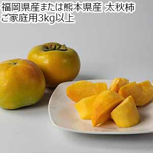 福岡県産または熊本県産 太秋柿 ご家庭用 3kg以上【お届け期間：10月1日〜11月20日】【秋のうまいもの市】【おいしいお取り寄せ】