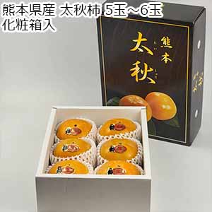 熊本県産 太秋柿 5玉〜6玉 化粧箱入【お届け期間：10月1日〜11月20日】【おいしいお取り寄せ】