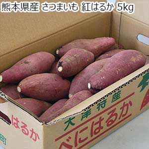 熊本県産 さつまいも 紅はるか 5kg【お届け期間：9月20日〜11月30日】【秋のうまいもの市】【おいしいお取り寄せ】