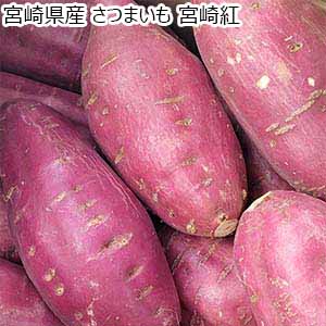 宮崎県産 さつまいも 宮崎紅【お届け期間：9月20日〜1月31日】【おいしいお取り寄せ】
