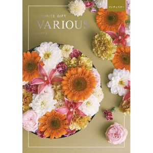 22,880円相当 カタログギフト various ヴァリアス ボストン ヴァリアス ボストン【カタログギフト】【贈りものカタログ