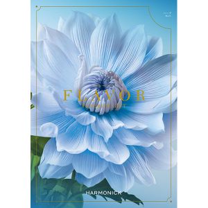 カタログギフト　税込14190円相当　ヴァリアス　マンチェスター　新品未使用 カタログギフト ヴァリアス マンチェスター｜ギフトプラザオンライン