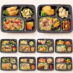 お弁当・お惣菜コース「おまかせバランス御膳」 おまかせバランス御膳B