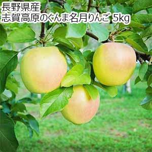 長野県産 志賀高原のぐんま名月りんご 5kg ご家庭用【限定1000点】【お届け期間:11月15日〜12月27日】【おいしいお取り寄せ】