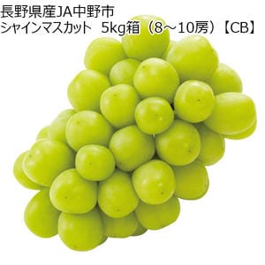 長野県産(JA中野市) ぶどう シャインマスカット わけあり 3房