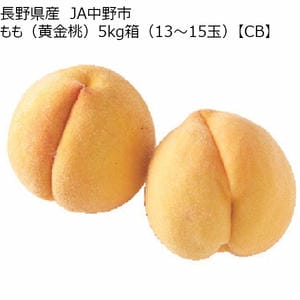 もも(桃) 人気の果物 お取り寄せ通販 イオンショップ【公式】