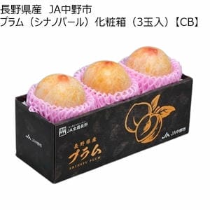 長野県産 JA中野市 プラム(シナノパール)化粧箱(3玉入)【秋のうまいもの市】【CB】