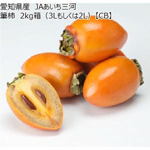 愛知県産 JAあいち三河 筆柿 2kg箱(3Lもしくは2L)【秋のうまいもの市】【CB】