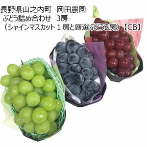 専用出品　岡山県産シャインマスカット　4.0kg箱×2 48369dc086e33435acc10f2ab9afa6