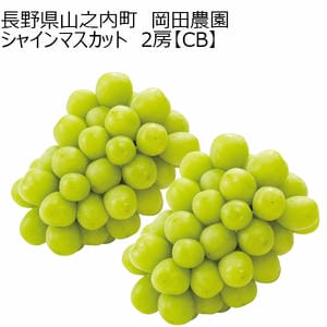 長野県産(JA中野市) ぶどう シャインマスカット わけあり 3房