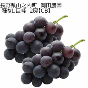 長野県山之内町 岡田農園 種なし巨峰 2房【秋のうまいもの市】【CB】