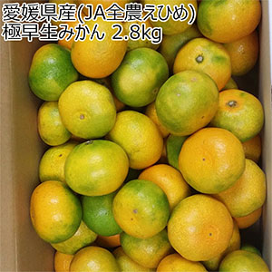 愛媛県産(JA全農えひめ) 極早生みかん 2.8kg【限定300点】【お届け期間：10月1日〜10月31日】【お買い得セール9月】