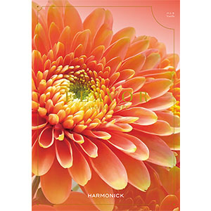 フレーバー バニラ【カタログギフト】【贈りものカタログ】