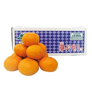 和歌山県産(JAわかやま しもつ蔵夢選果場) 早生みかん 雛みかん(お届け期間：11/15〜12/10)【冬の贈りもの・お歳暮】