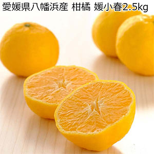 愛媛県八幡浜産 柑橘 媛小春2.5kg【限定300点】(お届け期間：2月1日〜2月28日)【おいしいお取り寄せ】