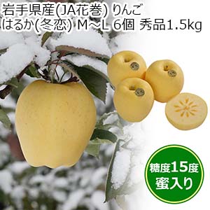 岩手県産(JA花巻) りんご はるか(冬恋) M〜L 6個 秀品1.5kg【限定40点】(お届け期間：12月10日〜12月30日)【おいしいお取り寄せ】