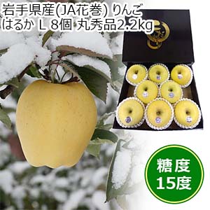 岩手県産(JA花巻) りんご はるか L 8個 丸秀品2.2kg【限定80点】(お届け期間：12月10日〜12月30日)【おいしいお取り寄せ】