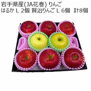 岩手県産(JA花巻) りんご はるか L 2個  賢治りんご L 6個　計8個【限定100点】(お届け期間：12月10日〜12月30日)【おいしいお取り寄せ】