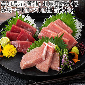 高知県産(養殖) 刺身用本まぐろ 赤身・中トロ・大トロ柵 計600g【お届け期間：12月26日〜12月30日】【年末年始ごちそう特集】