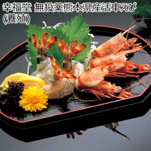 【お届け日承り便】幸福堂 無投薬熊本県産活車えび(養殖)【冬の贈りもの・お歳暮】