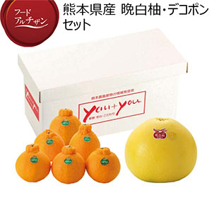 熊本県産 晩白柚・デコポンセット(お届け期間：11/11〜12/30)【冬の贈りもの・お歳暮】