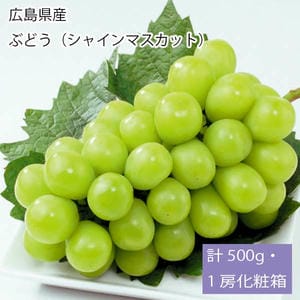 広島県産 ぶどう(シャインマスカット) 計500g・1房化粧箱【お届け期間:11月21日〜12月28日】【旬鮮便】【NN】