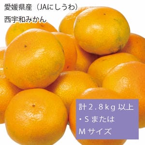愛媛県産(JAにしうわ) 西宇和みかん 計2.8kg以上・SまたはMサイズ(緑○)【お届け期間:11月21日〜12月28日】【旬鮮便】【NN】