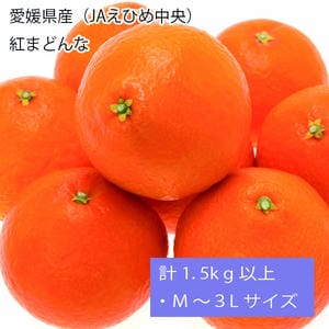 愛媛県産(JAえひめ中央) 紅まどんな 計1.5kg以上・M〜3Lサイズ゛(○)【お届け期間:12月11日〜12月28日】【旬鮮便】【NN】