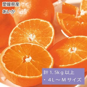 愛媛県産 あいか 計1.5kg以上・4L〜Mサイズ【お届け期間:12月1日〜12月28日】【旬鮮便】【NN】
