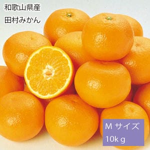 和歌山県産 田村みかん Mサイズ10kg(赤秀)【お届け期間:11月25日〜12月25日】【旬鮮便】【NN】