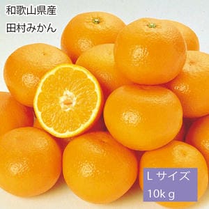 和歌山県産 田村みかん Lサイズ10kg(赤秀)【お届け期間:11月25日〜12月25日】【旬鮮便】【NN】