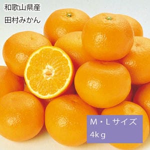 和歌山県産 田村みかん M・Lサイズ4kg(赤秀)【お届け期間:11月25日〜12月25日】【旬鮮便】【NN】